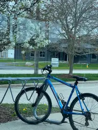 Bicycle / Bike / Mountain bike