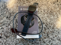 Fitbit Sense $100