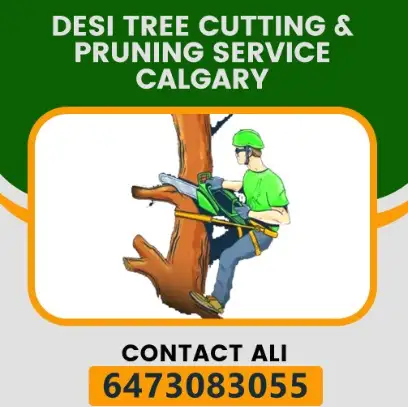 Desi Tree Cutting & Pruning Service Calgary62864356913411122