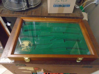 Display case with removable insert