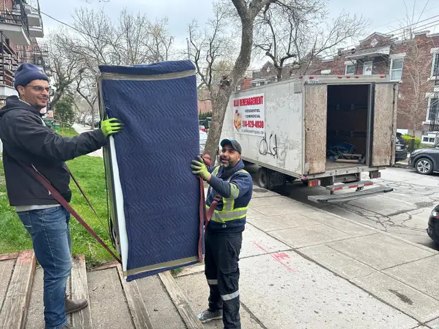 Moving Hello: starting at $87/h64374279575425122