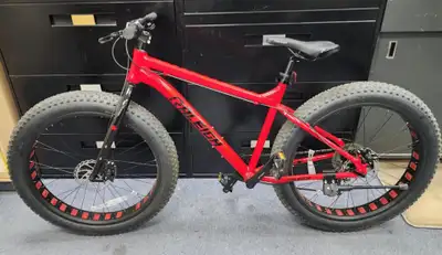 Raleigh Rogue Hardtail Mountain Fat Tire Bike, View more