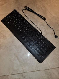 Lenovo Keyboard and Mouse