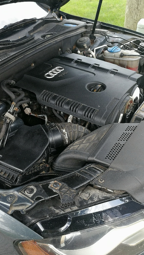 2010 Audi A4 in Cars & Trucks in Owen Sound - Image 3
