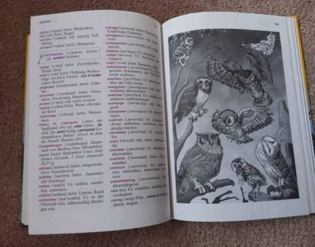 Harry Potter English-German dictionary dans Livres jeunesse et ados  à Région d’Oakville/Halton - Image 2