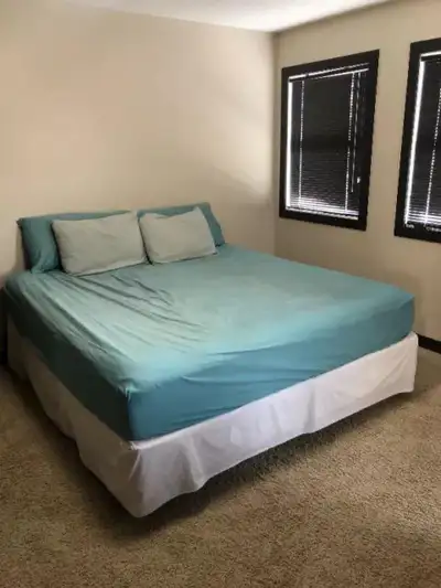 Mattress memory foam medium firm Guc 9 inches thick . Have pair of box springs they are in oky shape...