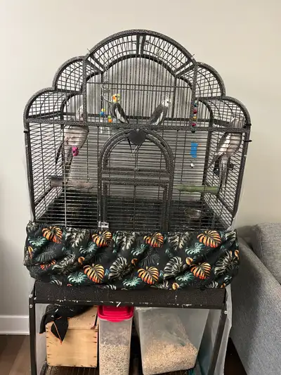 4 birds with cage, View more