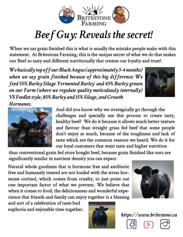 Beef Guy: Reveal The Secret! in Other in Calgary - Image 3