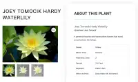 Water Lily / Nénuphar: Joey Tomocik — $25 per division