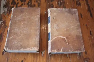 The Complete Works of Thomas Dick - Dick's Works - 1850, View more