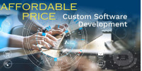 Cost-effective software development service for diverse business