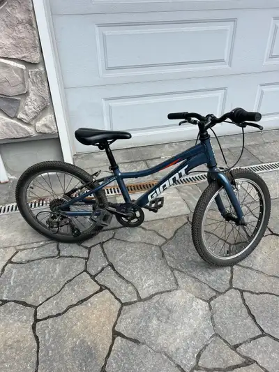 20” Kids Bike - Giant XTC, View more
