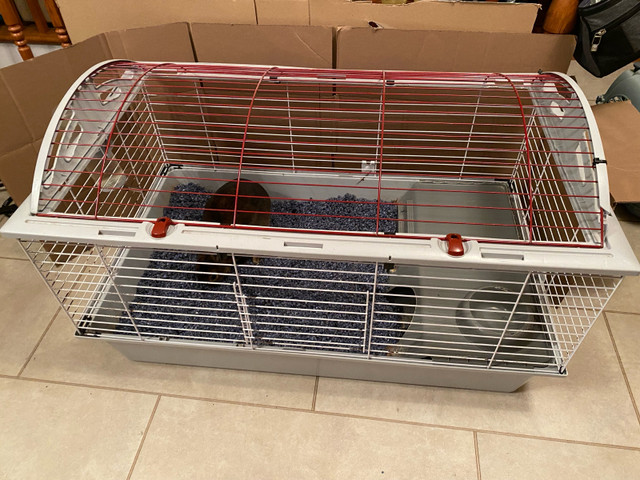 Cage moyenne à vendre dans Petits animaux à adopter  à Lévis