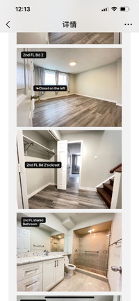Renovated Rooms for Rent