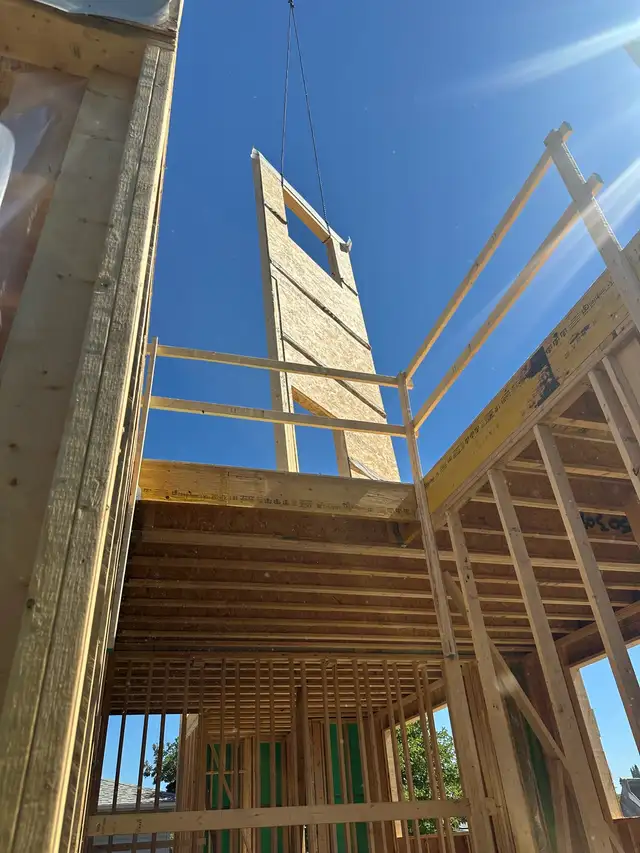 Red seal Carpenter 