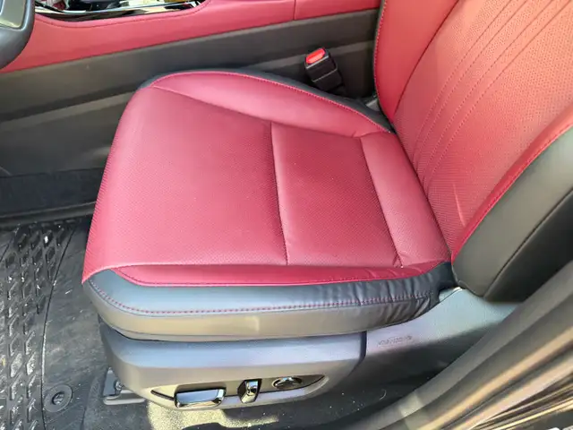 As new564717189963468802