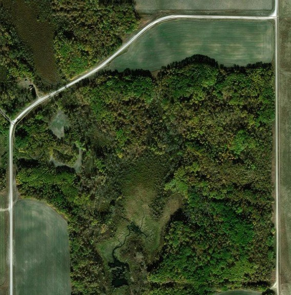 140 acres Tendered Farming Hunting Homestead SouthCentral MB Land