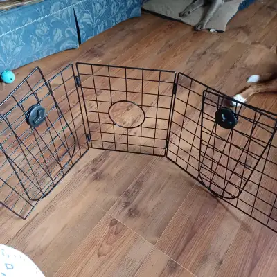 Dog barrier, View more
