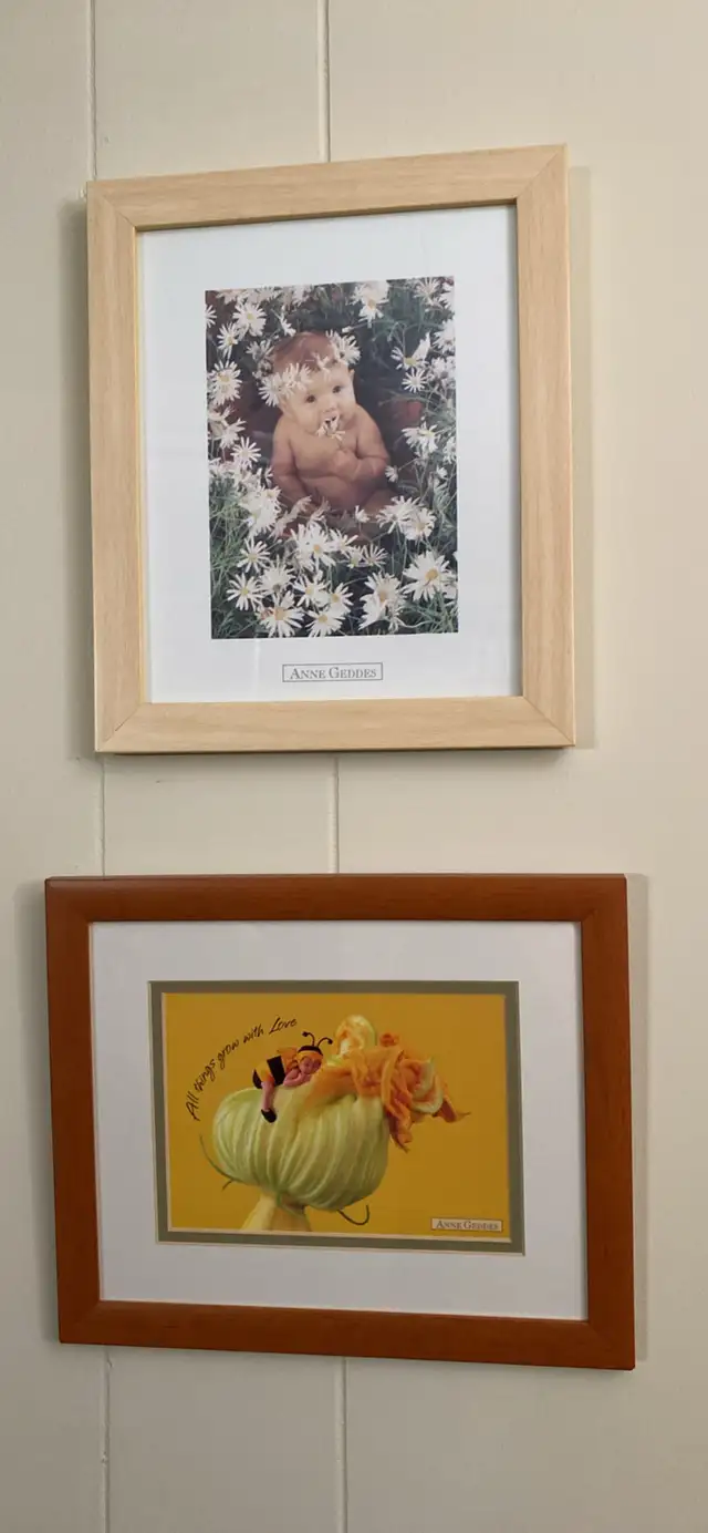 Framed pictures63234653590913124