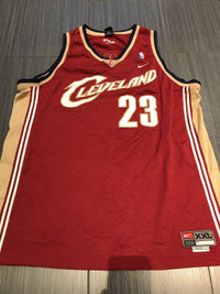 Nike LeBron James Cleveland Cavaliers Rookie Basketball Jersey 