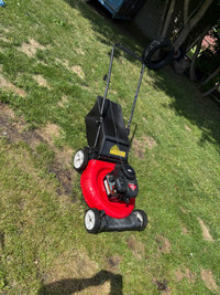 lawn mower and weed eater combo 
