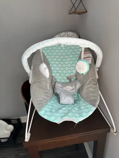 Barely baby bouncer vibrating for sale Smoke and pet free home