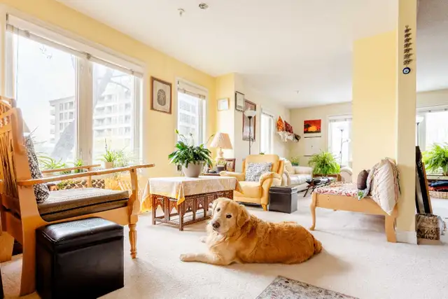 Private Furnished Toronto Space  in Ontario in Canada - Image 6