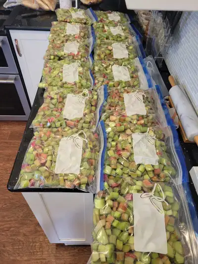 RHUBARB! 2pound bags, fresh picked/chopped. $10, View more