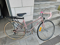 Vintage women's Altima bike $200