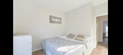 Room for rent near U of M