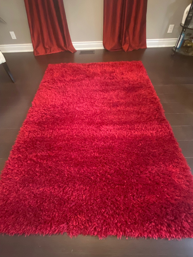 Lush accent Rug in Rugs, Carpets & Runners in Mississauga / Peel Region