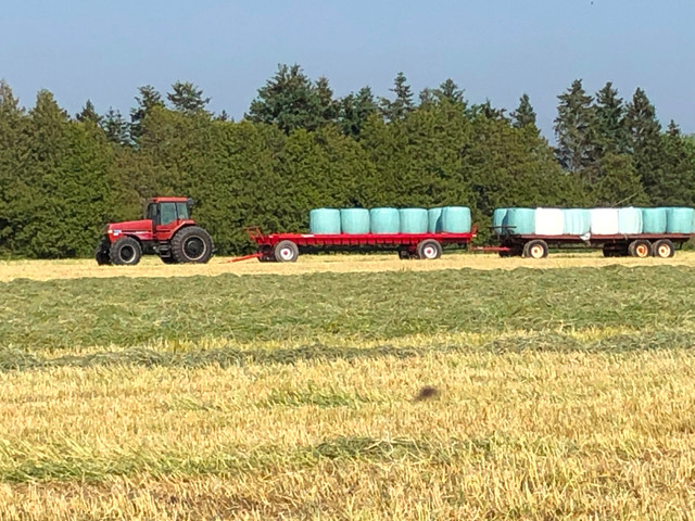 2024 Rye Baleage in Equestrian & Livestock Accessories in London - Image 3