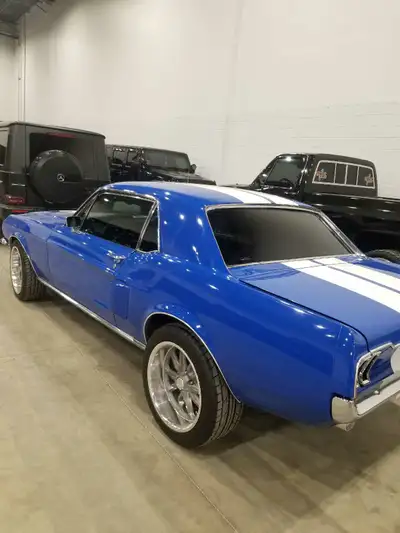 Specialized in windows tinting/ auto, residential, and commercial. Mobile tinting. Xpel ultimate fil...