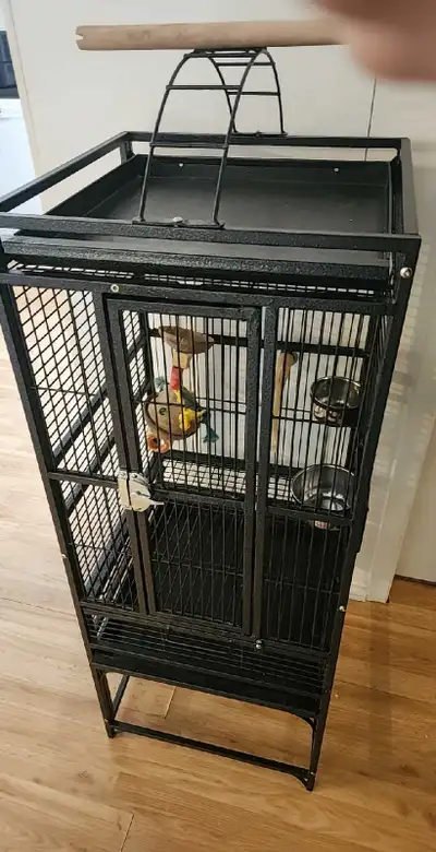 Cage oiseaux , View more