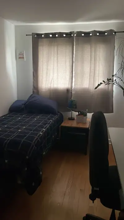 Furnished room for rent in shared home. Two other adults and one small dog. Street parking. Shared b...