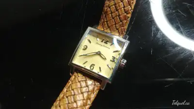 Montre Suisse Tommy Bahama (SPP), View more