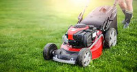  Residential lawn cutting and yard cleaner
