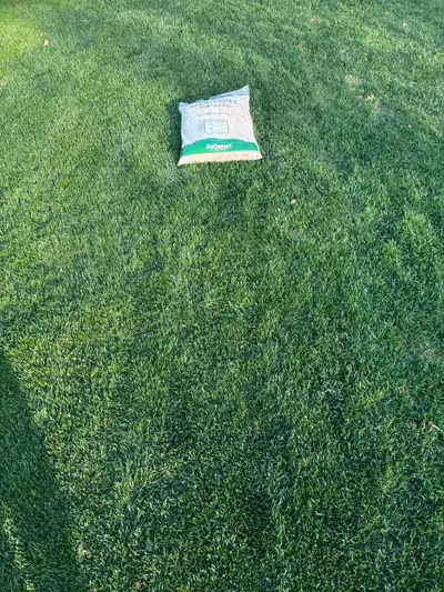 Magic Carpet fertilizer, View more