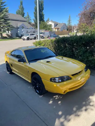 Well taken care of cobra. Upgrades include: -Hurst shifter -X pipe -Upgraded pulleys -Upgraded pisto...