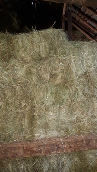 straw bales for sale ottawa