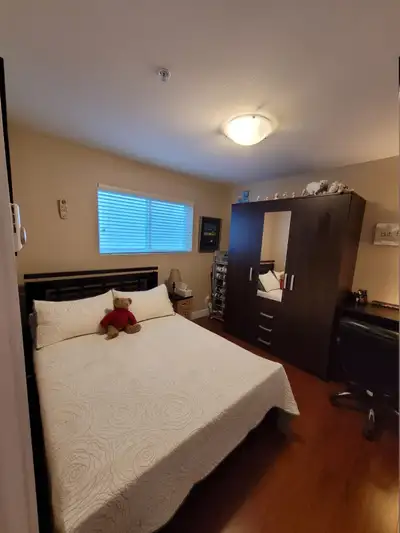 Basement suite 1 bedroom