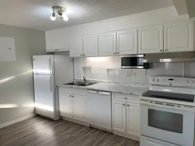 Cental Downtoen Location! Stept to LRT! Private 1 Bedroom Apt with Kitchen, Bathroom, Bedroom and la...