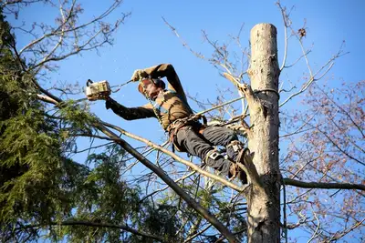 Fulltime / Subcontracting Arborists (CLIMBER), View more