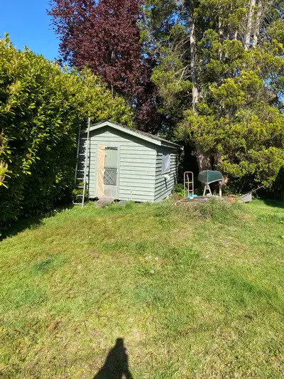 One bedroom basement suite. Spacious living room, kitchen. Shared laundry. Full bath with shower. Ap...