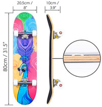 Professional Skateboards for Teens, Beginners, Girls,Boys,Kids