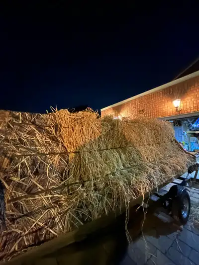 Tracker Grizzly 1648 Jon Boat. Bought brand new from Bass Pro in August of 2022. I’ve used it only a...