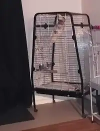 Cage a perroquet 