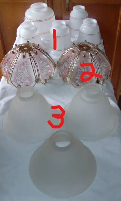 assorted ceiling fan globes no chips,cracks. $5 each. or, View more