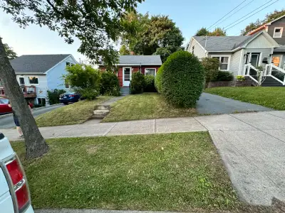 Lawn Care Services, View more