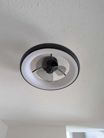 Ceiling light with fan, View more